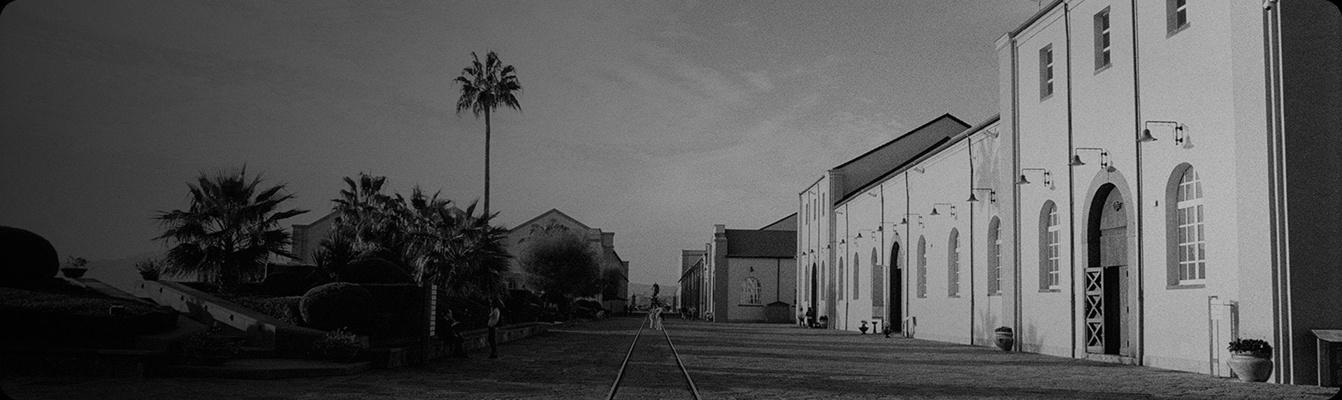 Black and White Filters