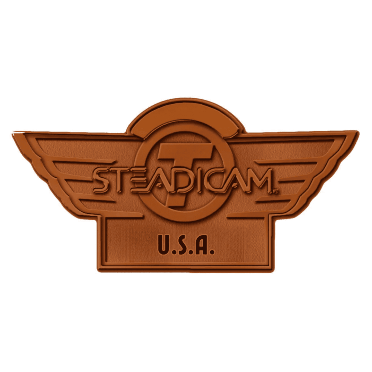 Steadicam Bronze Workshop USA