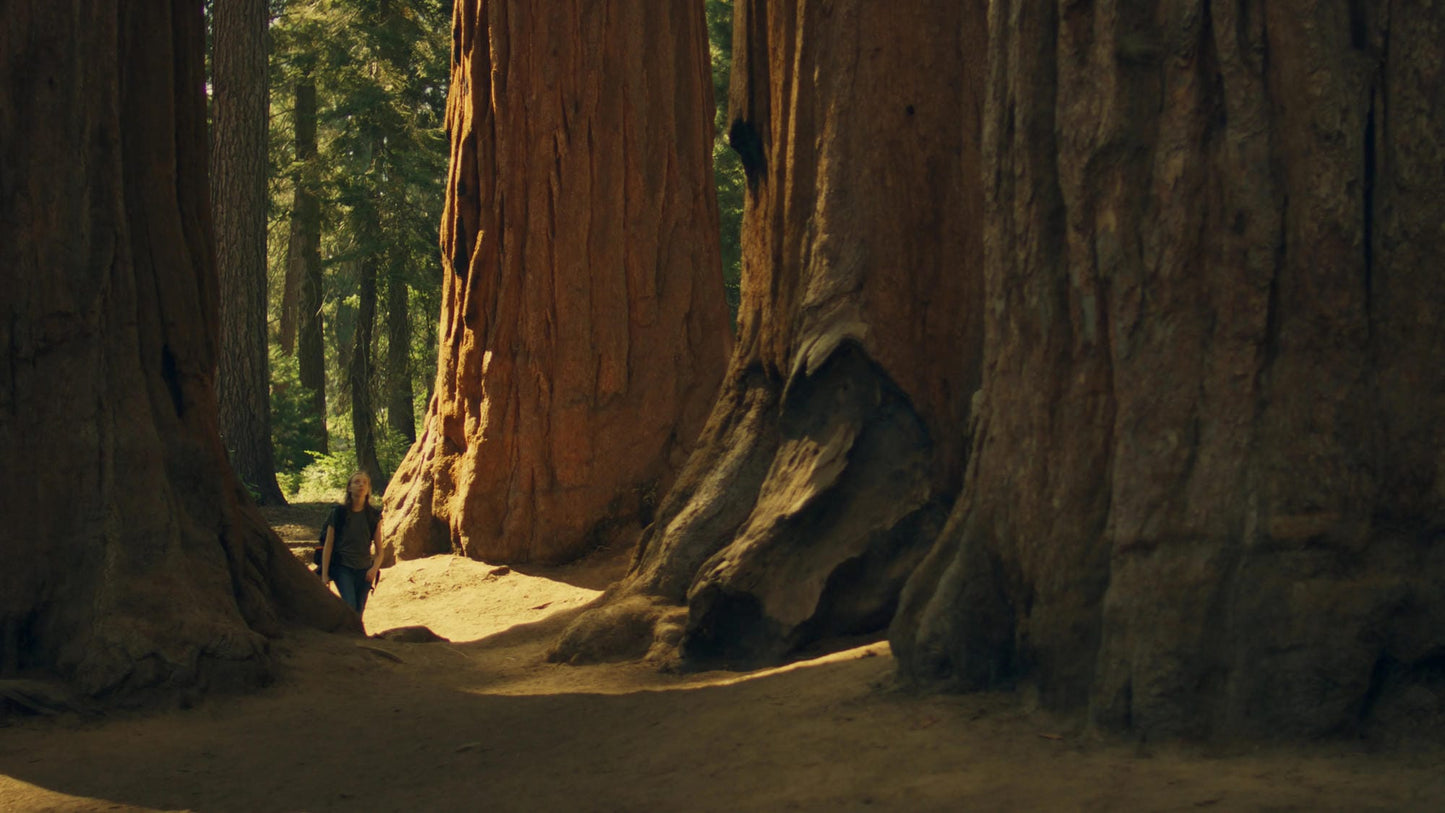 82mm Dark Contrast Screw-In Filter