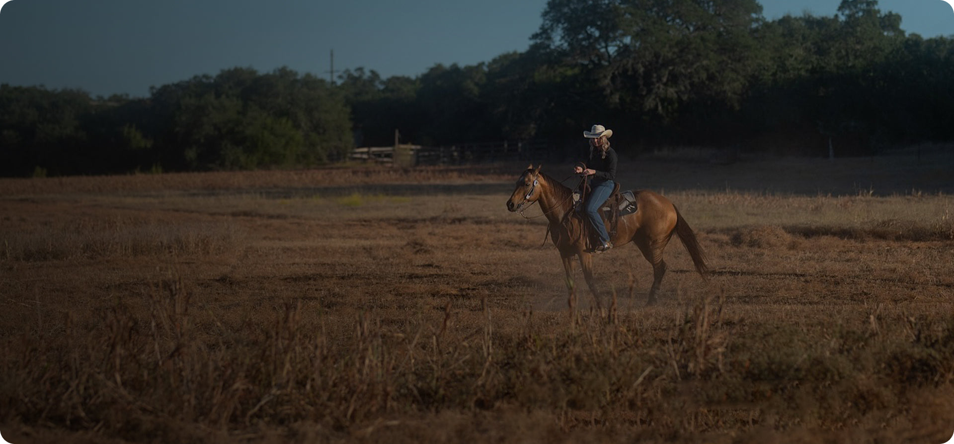 Tiffen Chocolate 2 フィルター 10x10cm Tiffen フィルター コレクション – The Tiffen Company