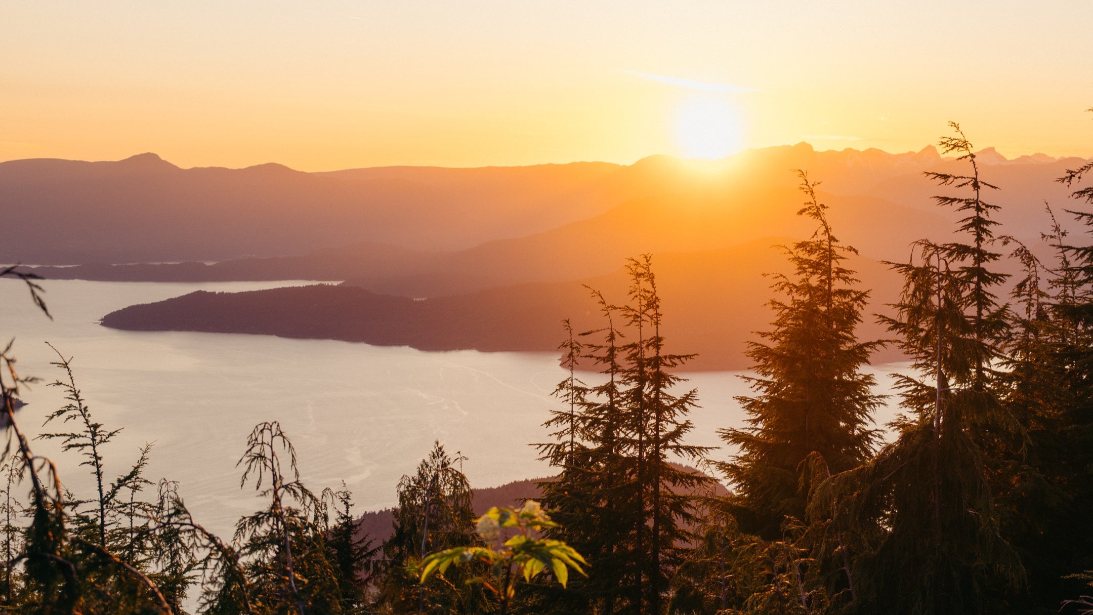 Tiffen 58WBPM12 58mm ウォームブラック プロミスト 1/2 並行輸入品 Tiffen 58WBPM12 58mm ウォームブラック プロミスト 1⁄2並行輸入